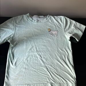 The GOAT USA WG Boys T-Shirt - mint green